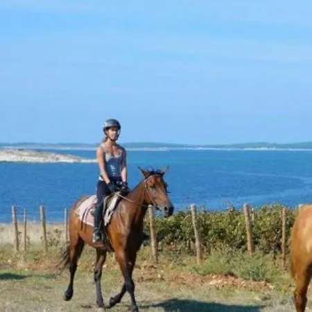 Enna B Meerblick Perfect Location * Medulin